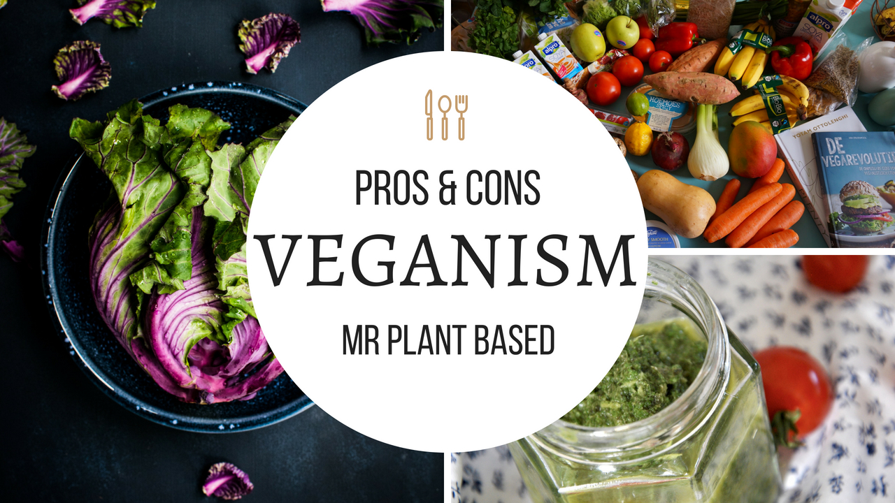veganism pros and cons essay